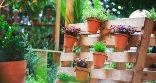 10 Pallet Garden Ideas to Bring New Life to Your Yard
