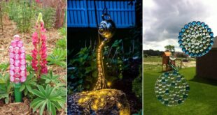 13 DIY Garden Projects With Glue To Make FREE Sculptures & Accessories