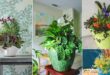 13 Houseplant Combination Ideas