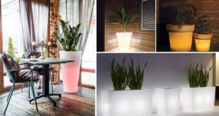 16 DIY Indoor Illuminated Planter Ideas
