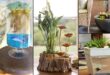 17 Great DIY Indoor Water Garden Ideas