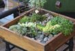 20 Amazing Tiny Tabletop Garden Ideas