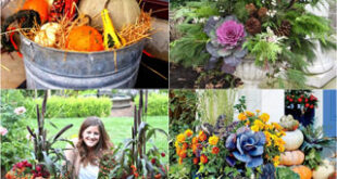 22 Beautiful Fall Planters for Easy Outdoor Fall Decorations