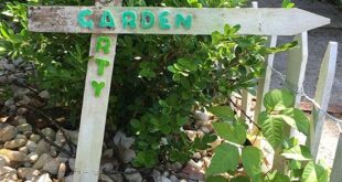 24 Cool DIY Garden Stake Ideas
