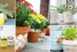 29 DIY Pot Painting Ideas For The Garden