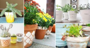 29 DIY Pot Painting Ideas For The Garden