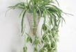 30 Clever Ways to Hang Your Plants