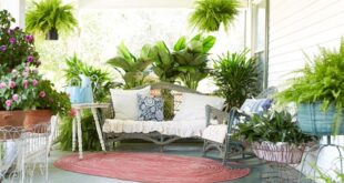 30 Porch Decor Ideas with Plants