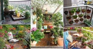 70 Nicest Balcony Garden Ideas