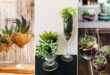 How to Grow Succulents in Wine Glasses | 10 DIY Wine Glass Terrariums