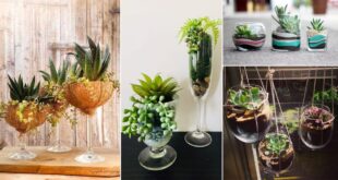 How to Grow Succulents in Wine Glasses | 10 DIY Wine Glass Terrariums