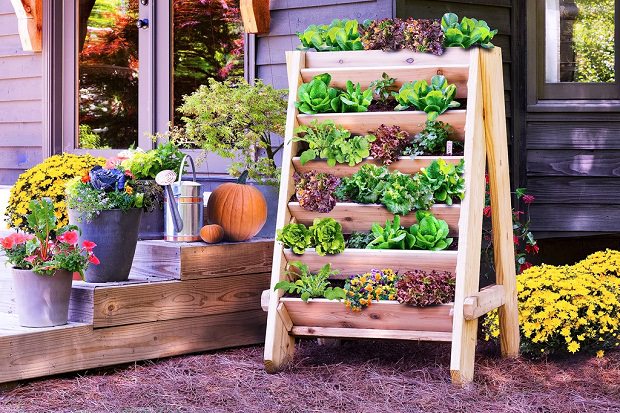 vertical-lettuce-planter
