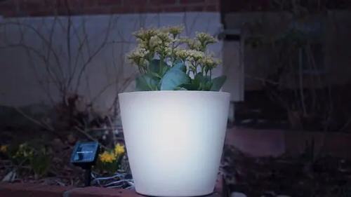 DIY Indoor Illuminated Planter Ideas