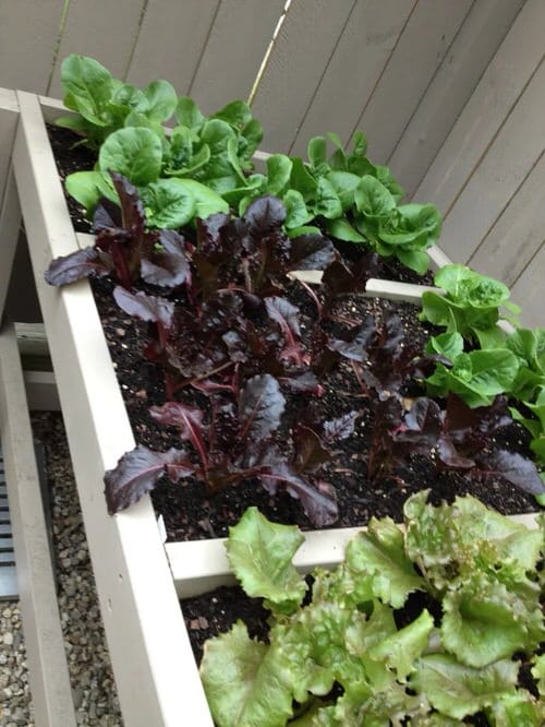 DIY Salad Table Ideas 3