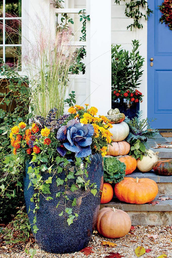 colorful porch fall garden pots with Ornamental Kale and cabbage plants, and pumpkins in autumn harvest season. 