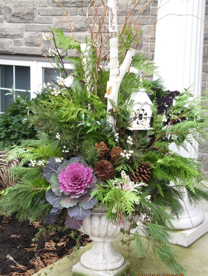 beautiful fall planter garden with birch and pine cones