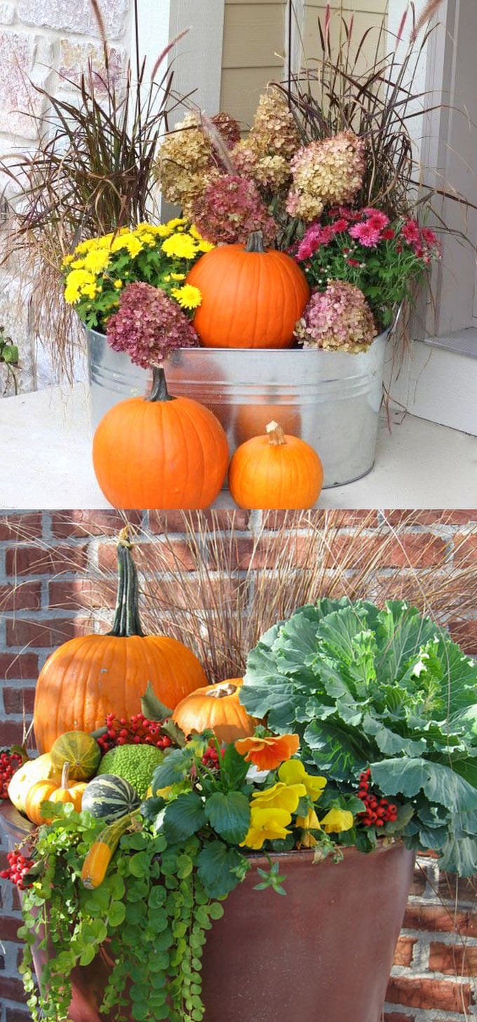 fall and thanksgiving decorations: pots and buckets with mums and pumpkins