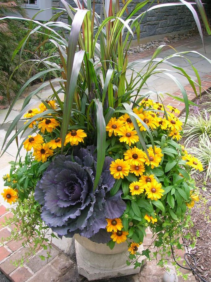yellow daisies in fall flower pots as outdoor decorations