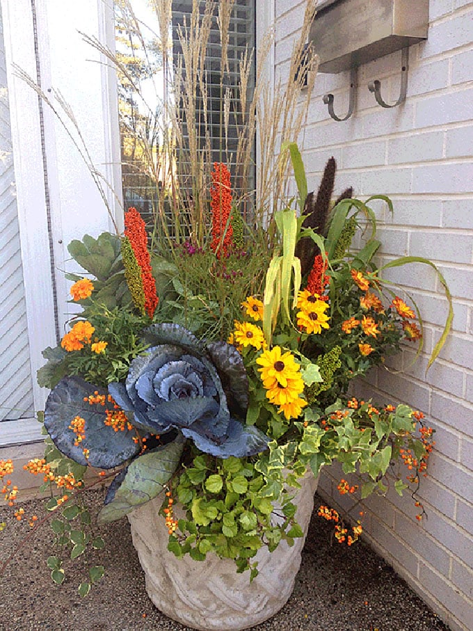 front porch fall pot with colorful flowers and plants