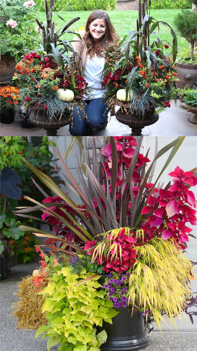 how to plant fall container gardens