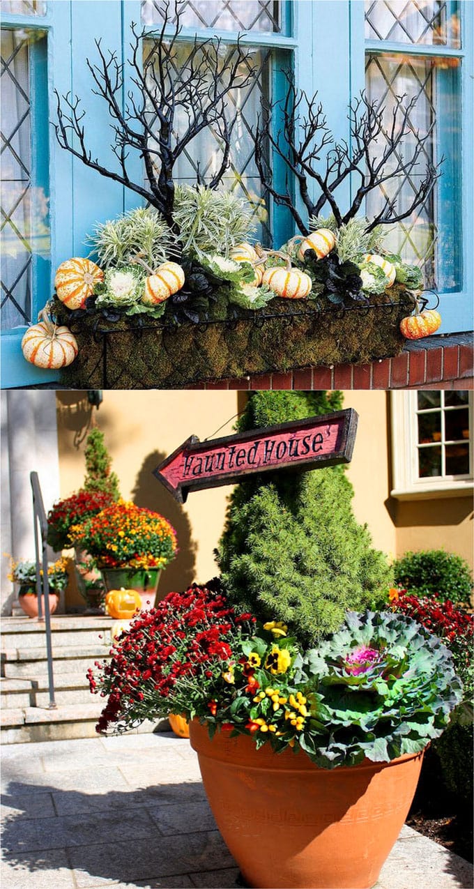 halloween decorations with black branches and signs in planters