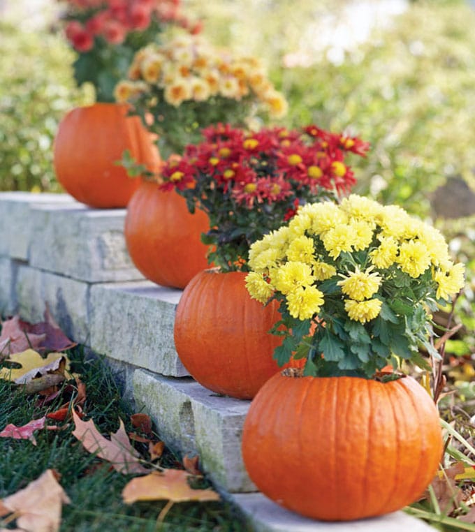 pumpkins as colorful fall mum planters to decorate front door steps and porches