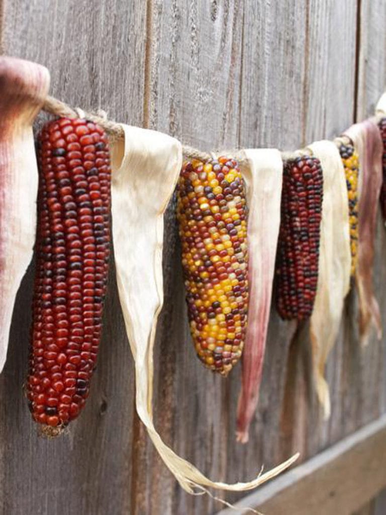 beautiful DIY corn garland fall decoration idea
