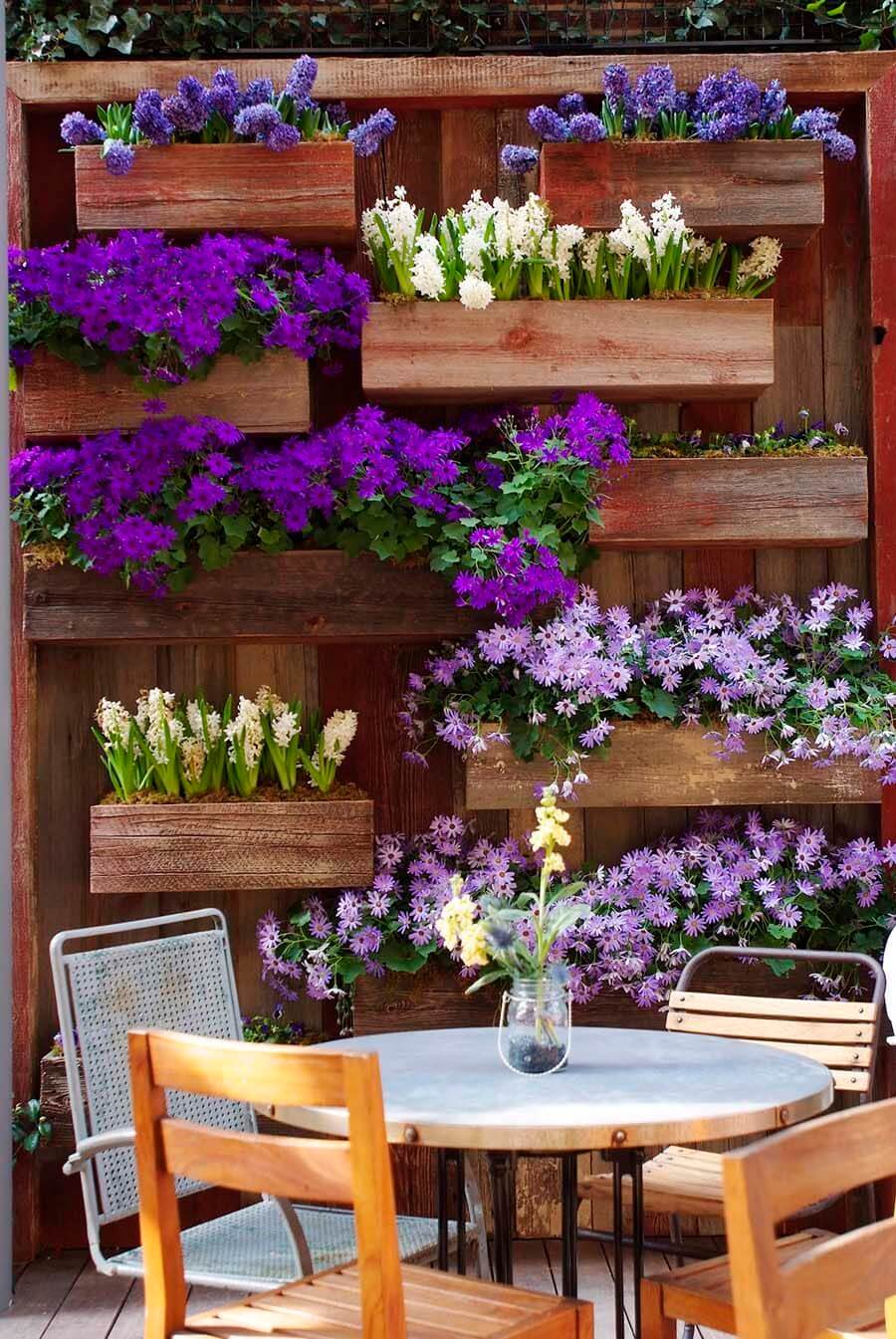 Purple and White Blooms with Wall Boxes